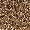 TOHO 3/0 Round Beads SEED-TR03-0989-3