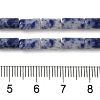 Natural Blue Spot Jasper Beads Strands G-B091-A03-01-5