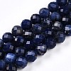 Natural Sodalite Beads Strands G-S345-8mm-26-1