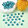 Preciosa® MAXIMA Crystal No Hotfix Flatback Stones Y-PRC-NSS6-60230-2