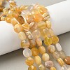 Natural Yellow Botswana Agate Beads Strands G-F790-H04-01-1