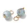 Natural Larimar Pendants PALLOY-JF05255-3