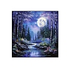 DIY Scenery Diamond Painting Kit PW-WGFF447-01-5