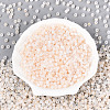 6/0 Glass Seed Beads SEED-N008-07L-2