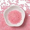 Glass Seed Beads X1-SEED-H002-E-A1409-2