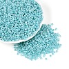 Glass Seed Beads SEED-A011-3mm-154-1