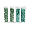 520Pcs 2 Style 2-Hole Glass Seed Beads SEED-NB0001-72B-1