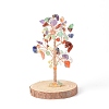 Natural Gemstone Chips with Brass Wrapped Wire Money Tree on Wood Base Display Decorations DJEW-B007-05A-1