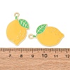 Alloy Enamel Pendants AL-CBA1DF6-02G-2
