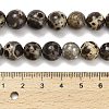 Natural Astroite Jasper Beads Strands G-F814-A01-10mm-5