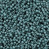 MIYUKI Delica Beads X-SEED-J020-DB2407-2