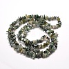 Natural Moss Agate Chip Bead Strands G-M205-45-2