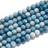 Natural Gemstone Beads Strands G-L367-01-8mm-4