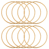 10Pcs Iron Ring for DIY Woven Net/Web with Feather IFIN-SP0001-56B-KCG-1