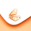 Transparent Resin Pendants LS-RESI-TAC0005-023A-29-1