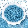 6/0 Transparent Inside Colours Glass Seed Round Beads SEED-N006-004D-2