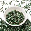 Glass Seed Beads X1-SEED-H002-B-D221-2