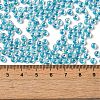 6/0 Transparent Inside Colours Glass Seed Beads SEED-P006-01A-08-4