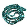 Natural HuBei Turquoise Beads Strands G-B089-A01-01-3