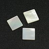 White Shell Cabochons SSHEL-I007-11-3