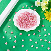 200Pcs Flower & Butterfly Resin Cabochons CRES-TA0001-89E-5