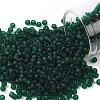 TOHO Round Seed Beads SEED-XTR08-0939F-1