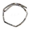 Natural Labradorite Beads Strands G-F832-B10-01-3