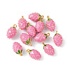 Brass Enamel Charms KK-G462-32MG-3