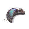 Natural Abalone Shell/Paua Shell Pendants PALLOY-JF02701-02-4