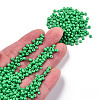 8/0 Baking Paint Glass Seed Beads SEED-R051-07B-09-4