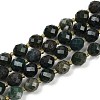 Natural Moss Agate Beads Strands G-N342-149I-26-2