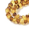 Natural Amber Beads Strands G-L095-E01-03-4