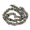 Natural Labradorite Beads Strands X-G-I225-15A-4