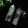 Point Tower Natural Labradorite Healing Stone Wands PW-WG88898-02-4