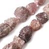 Natural Strawberry Quartz Beads Strands G-S386-C13-2