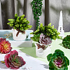 PVC Artificial Succulent Plant AJEW-SP0004-35A-3