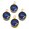 Alloy Enamel Pendants ENAM-N056-039-2