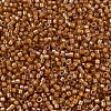 MIYUKI Delica Beads SEED-JP0008-DB1734-3