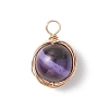 Copper Wire Wrapped Natural Banded Agate(Dyed & Heated) Pendants PALLOY-JF04950-2