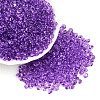 3/0 Baking Paint Glass Fringe Seed Beads SEED-A034-04F-3