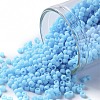TOHO 11/0 Round Beads X-SEED-TR11-0043F-1