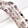 Natural Plum Blossom Tourmaline Beads Strands G-T141-12A-2