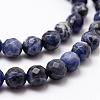 Natural Sodalite Beads Strands G-D840-19-6mm-3