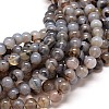 Natural Grey Agate Round Bead Strands G-P072-11-10mm-1