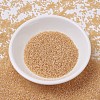 MIYUKI Delica Beads SEED-JP0008-DB0852-2