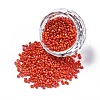 Opaque Glass Seed Beads SEED-S023-01C-11-1
