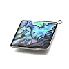 304 Stainless Steel Pave Natural Paua Shell Pendants STAS-Z125-01D-P-2