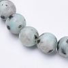 Natural Sesame Jasper/Kiwi Jasper Beaded Stretch Bracelets BJEW-S128-04-2