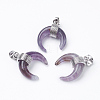 Natural Amethyst Pendants X-G-E425-05P-2