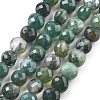 Natural Moss Agate Beads Strands G-C179-A21-02-2